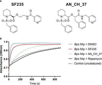 Inhibition of macrophage infectivity potentiator in Burkholderia pseudomallei suppresses pro-inflammatory responses in murine macrophages